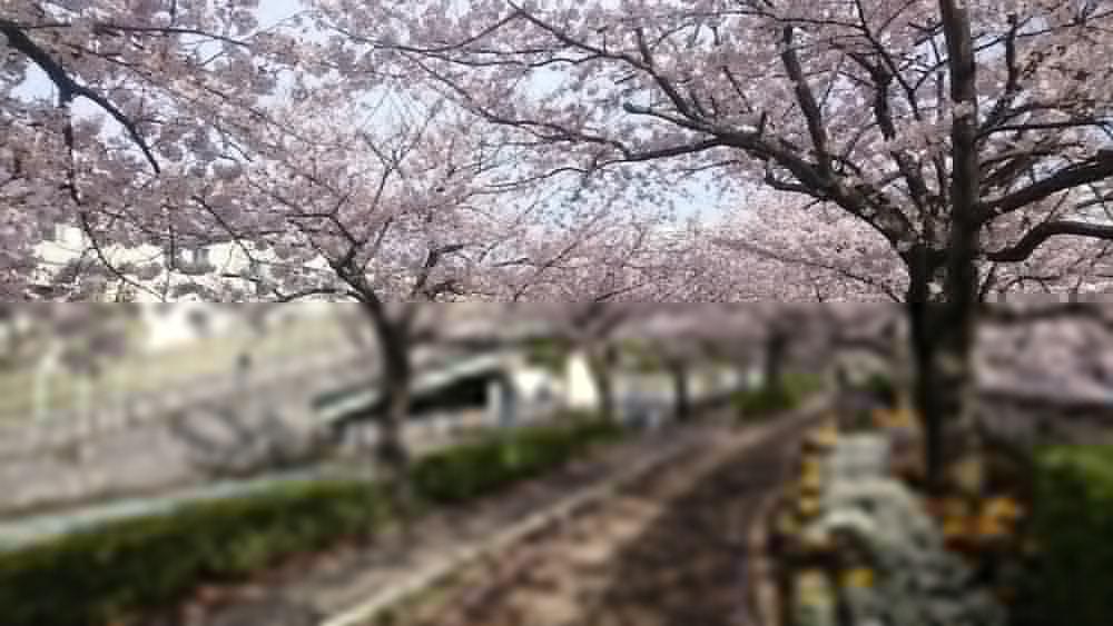Henn Na Hotel Maihama Tokyo Bay Urayasu Εξωτερικό φωτογραφία